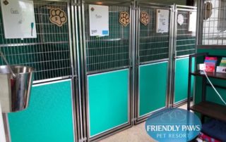 Gallery - Friendly Paws Pet Resort